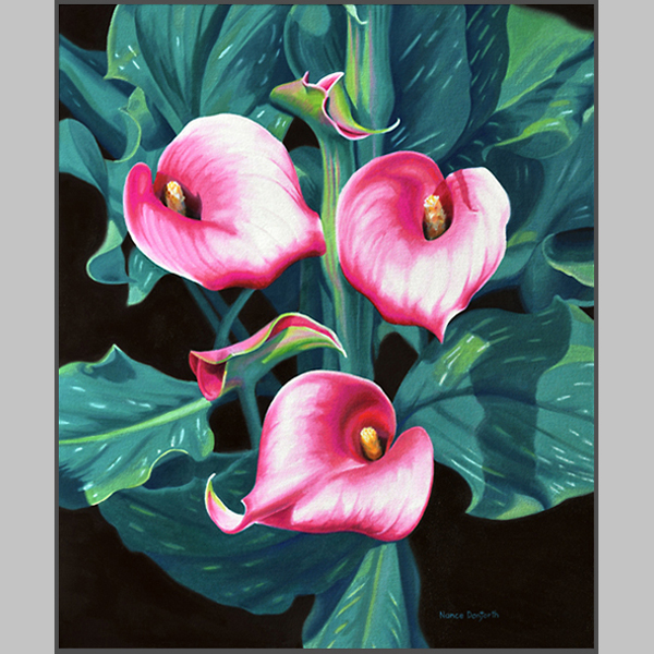 Calla Lilies oil painting